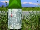hakuba2_p.jpg